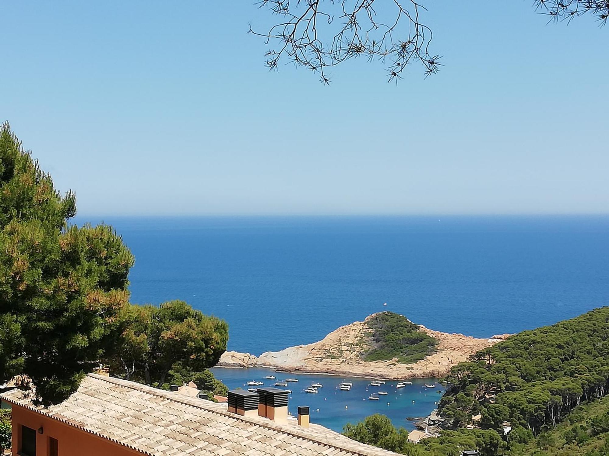"La Terrasse De La Mer 8" -Climatisation-Wifi-Bbq -Piscine-Parking Begur Dış mekan fotoğraf