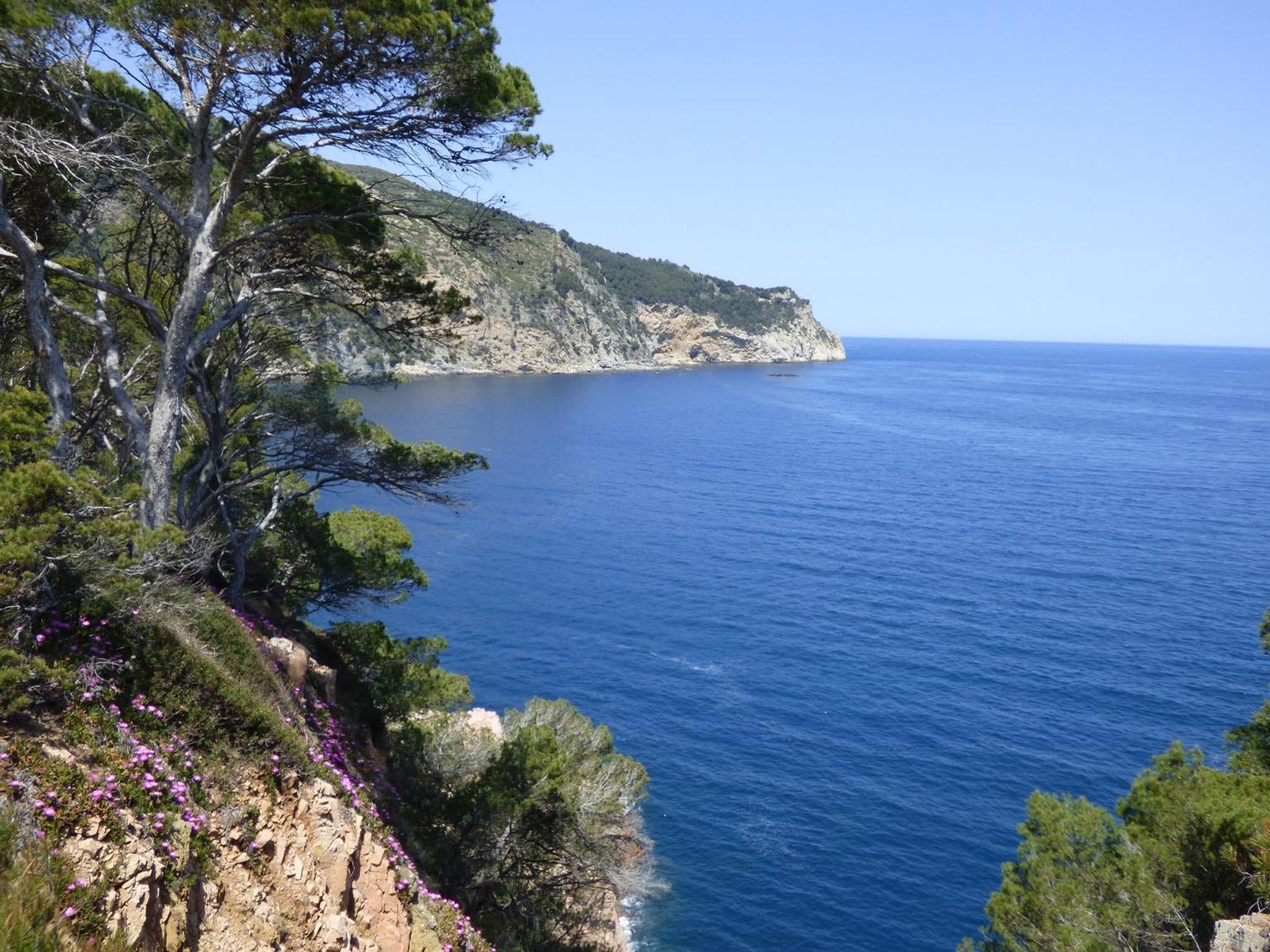 "La Terrasse De La Mer 8" -Climatisation-Wifi-Bbq -Piscine-Parking Begur Dış mekan fotoğraf