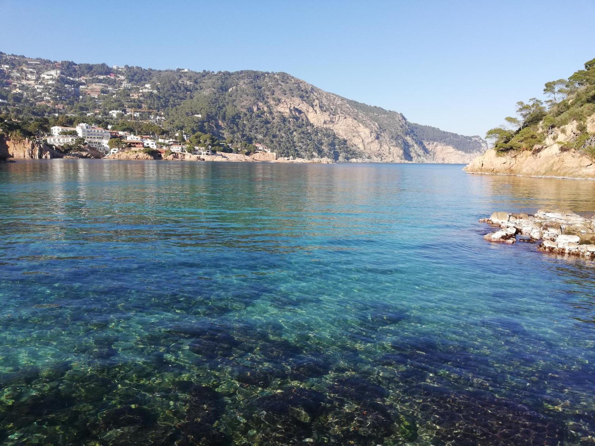 "La Terrasse De La Mer 8" -Climatisation-Wifi-Bbq -Piscine-Parking Begur Dış mekan fotoğraf